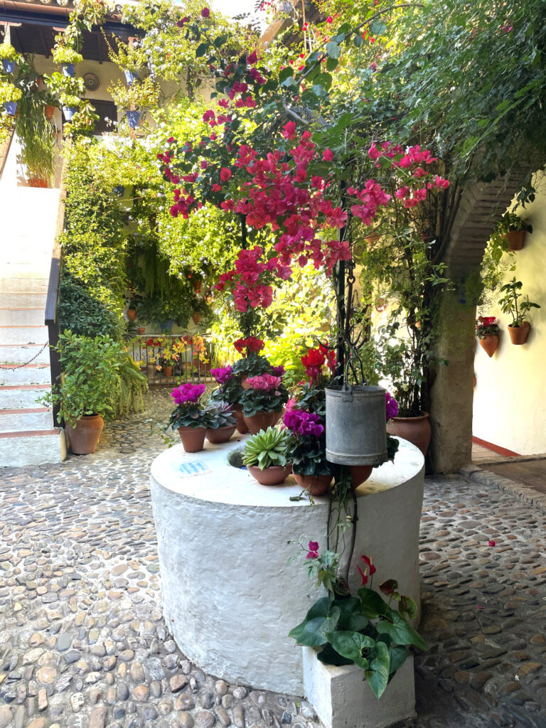 Patios de Córdoba: Patrimonio que Inspira al Mundo